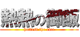 熱熱の御飯 (hottest the rice)
