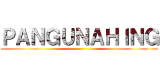 ＰＡＮＧＵＮＡＨＩＮＧ ()