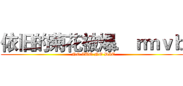 依旧的菊花被爆．ｒｍｖｂ ( NO ZUO NO DIE)
