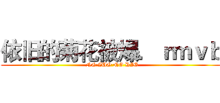 依旧的菊花被爆．ｒｍｖｂ ( NO ZUO NO DIE)