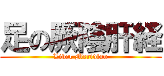 足の厥陰肝経 (Liver Meridian)