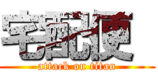 宅配便  (attack on titan)