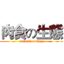 肉食の生態 (animal eating)