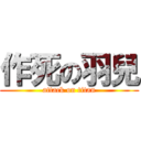 作死の羽兒 (attack on titan)