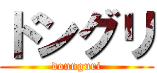 ドングリ (donnguri)