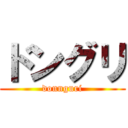 ドングリ (donnguri)