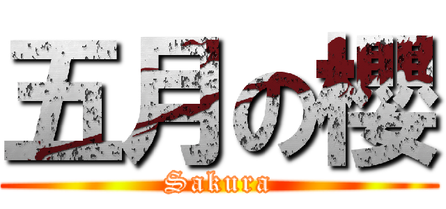 五月の櫻 (Sakura)