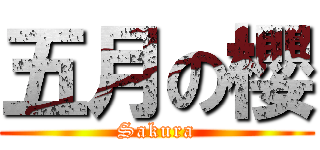 五月の櫻 (Sakura)