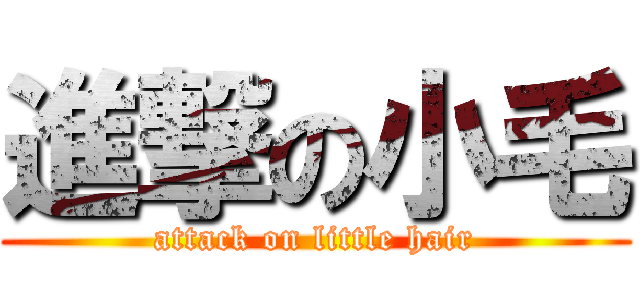 進撃の小毛 (attack on little hair)