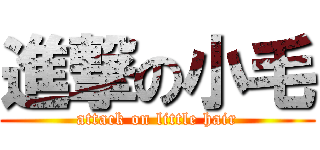 進撃の小毛 (attack on little hair)