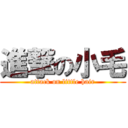 進撃の小毛 (attack on little hair)