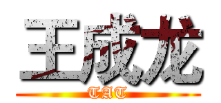 王成龙 (TAT)