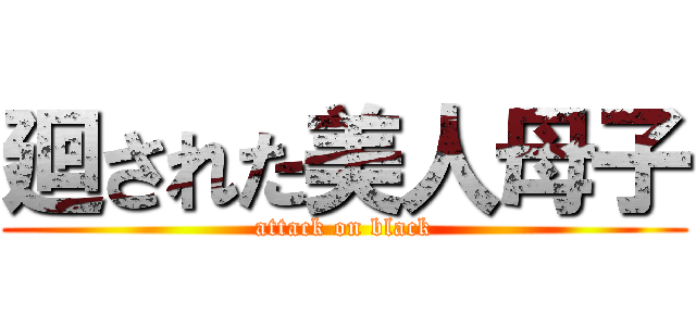 廻された美人母子 (attack on black)