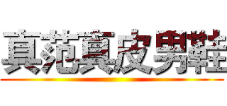 真范真皮男鞋 ()