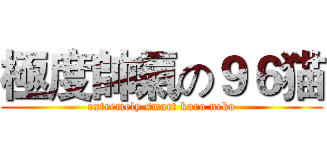 極度帥氣の９６猫 (extremely smart kuro neko)