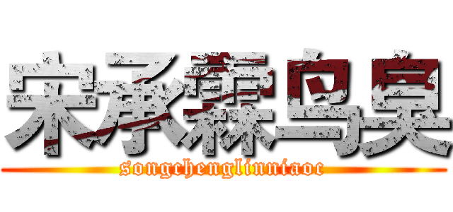 宋承霖鸟臭 (songchenglinniaoc)