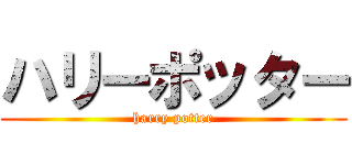 ハリーポッター (harry potter)
