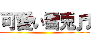 可愛い雪兎♬ ()