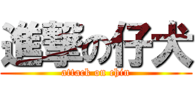 進撃の仔犬 (attack on chin)
