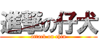 進撃の仔犬 (attack on chin)