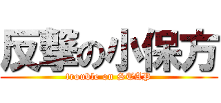 反撃の小保方 (trouble on STAP)