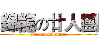 錦龍の廿人團 (jinlong on anton)
