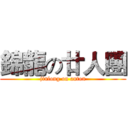 錦龍の廿人團 (jinlong on anton)