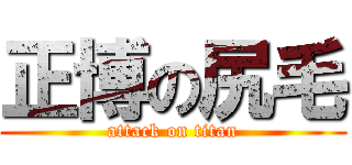 正博の尻毛 (attack on titan)