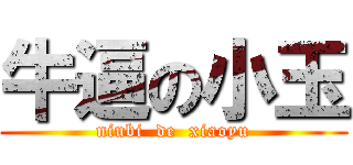 牛逼の小玉 (niubi  de  xiaoyu)