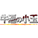 牛逼の小玉 (niubi  de  xiaoyu)