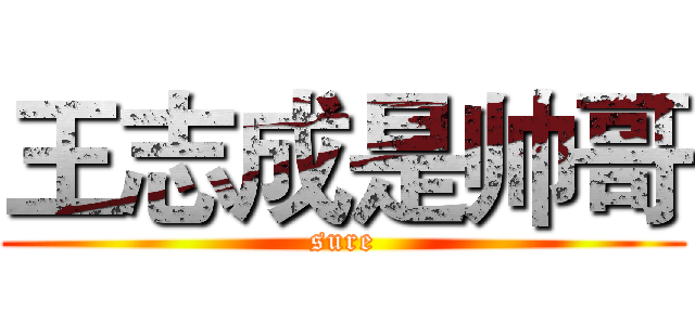 王志成是帅哥 (sure)