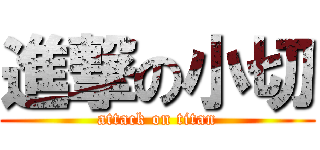 進撃の小切 (attack on titan)