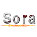 Ｓｏｒａ (Attack on Life)