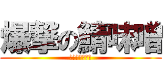 爆撃の鯖味噌 (うるさいジャン)