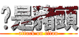 你是豬頭 (attack on titan)