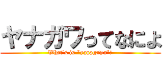 ヤナガワってなによ (What's is "yanagawa"?)