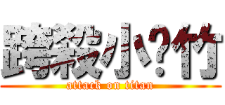 跨殺小彥竹 (attack on titan)