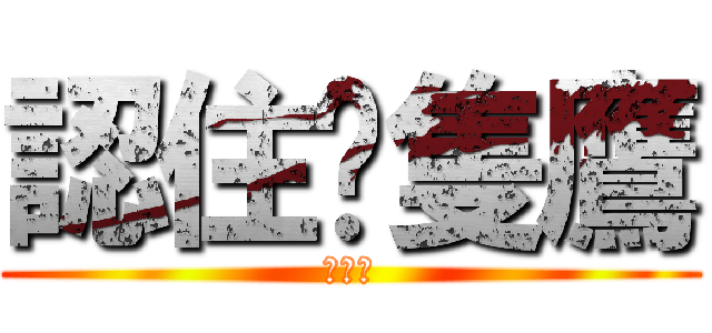 認住呢隻鷹 (潤先鷹)