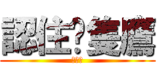 認住呢隻鷹 (潤先鷹)
