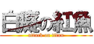 白癡の紅魚 (attack on titan)