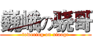 巍峨の骁哥 (towering on xiaoge)