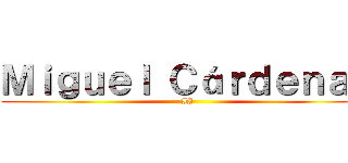 Ｍｉｇｕｅｌ Ｃáｒｄｅｎａｓ (II)