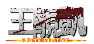 王靚凱 (attack on titan)