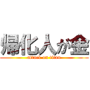 帰化人が金 (attack on titan)