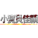 小寶貝佳穎 ()