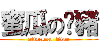 蜜瓜の傻豬 (attack on titan)