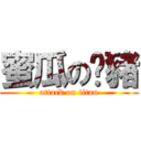 蜜瓜の傻豬 (attack on titan)