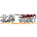 北鼻~我愛你 (attack on titan)