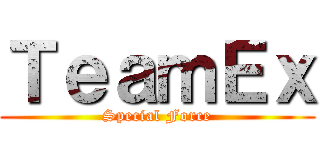 ＴｅａｍＥｘ (Special Force)