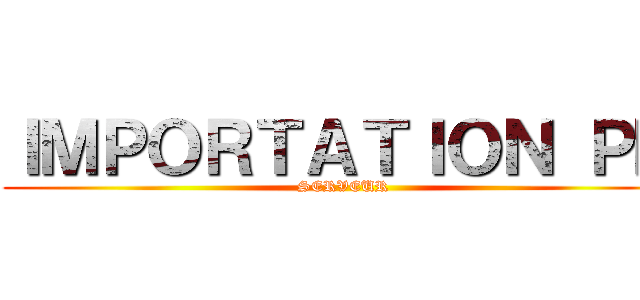 ＩＭＰＯＲＴＡＴＩＯＮ ＰＭ (SERVEUR)